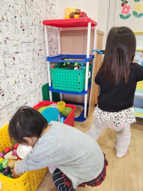 SNOW_20250111_172246_345