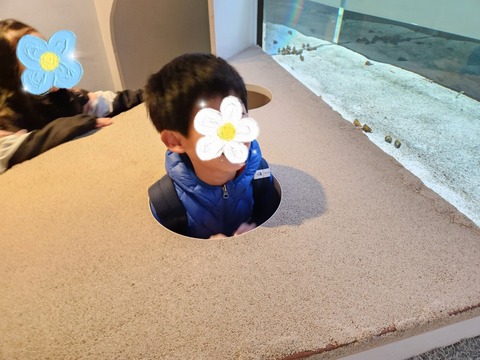 SNOW_20231125_184519_692