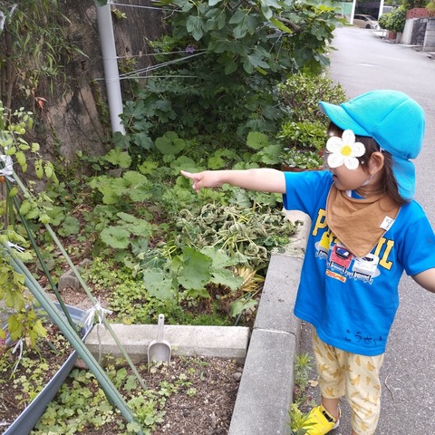 SNOW_20240627_121707_279