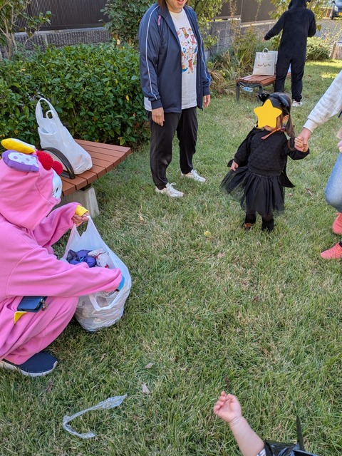 InShot_20251030_165848597