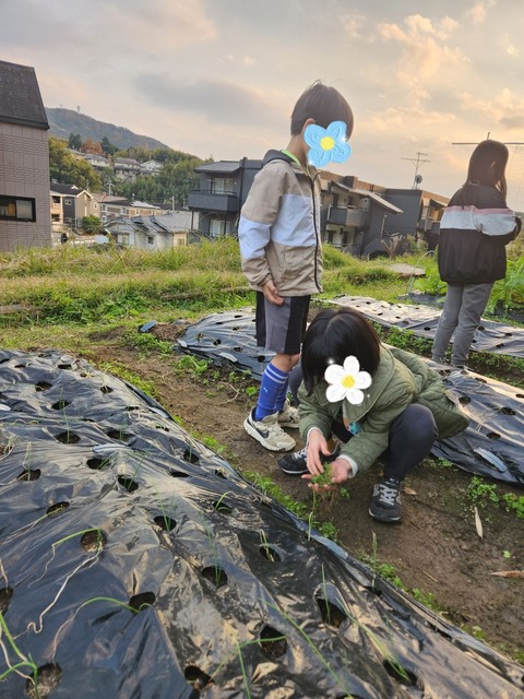 SNOW_20241207_123151_814