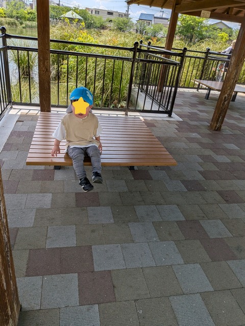 InShot_20260514_190402821