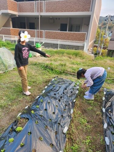 SNOW_20241207_123128_479