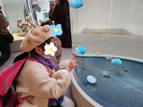 SNOW_20231125_184440_322