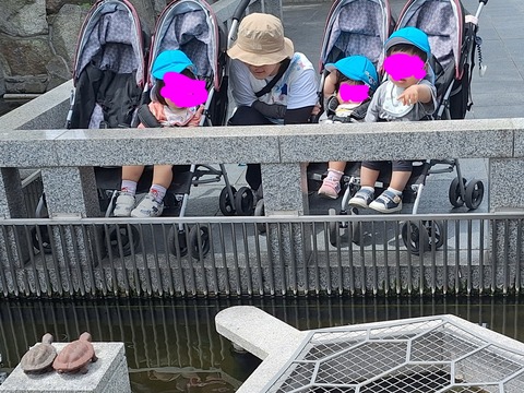20260512_103550(1)