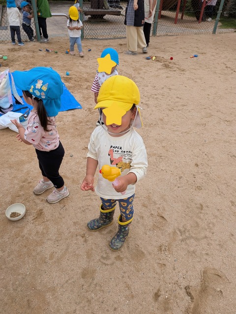 InShot_20260528_205228777