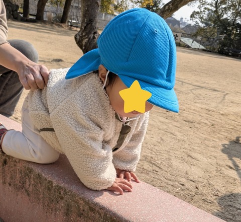 InShot_20250227_230919217