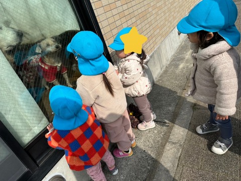InShot_20260127_233750044