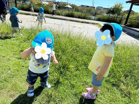 SNOW_20240926_172119_005