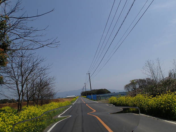 九州の広域農道コレクション	  【熊本県の広域農道】菊池広域農道（菊池グリーンロード）	コメント                dokitaka