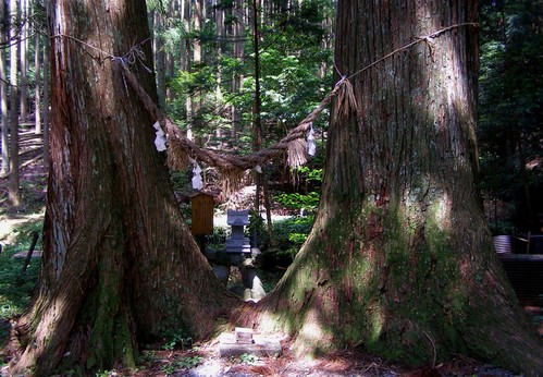 ����ܤ���