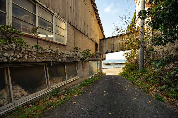 ���ˤ���