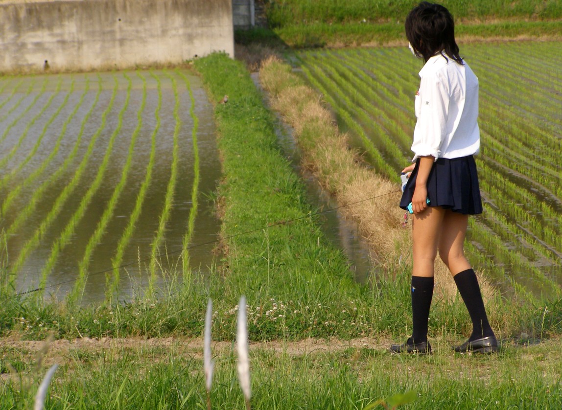 女子高校生うんこ 