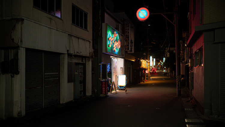 ����롣