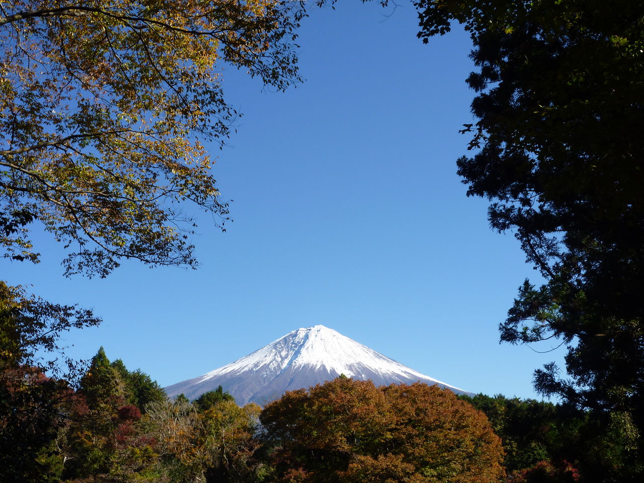 押さえておくべき 人気の観光地 白糸の滝 富士山 旅するように暮らす