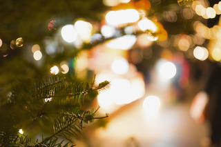 今年はクリぼっちにも過ごしやすい? みんなのクリスマスを検証