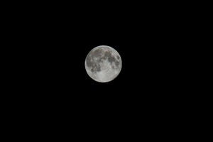 星からのメッセージ・男性性と女性性、恋愛においてはどちらが重要?