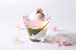 桜パンナコッタ