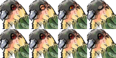 Rpgツクールvx Ace用の 鳥系の顔グラ素材 どくきなこ