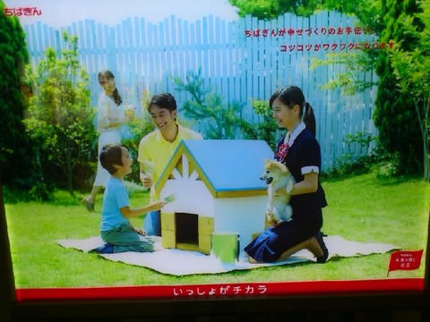 犬小屋