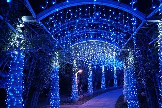 s-イルミネーション3