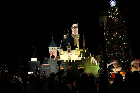 香港・マカオ 556