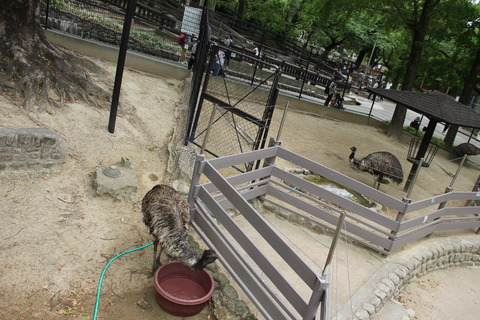 カップヌードルミュージアム 267