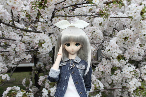 大阪城公園花見 142