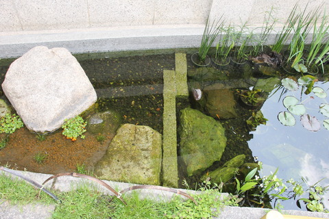 全興寺 091