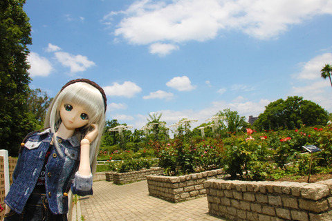 USJ、大阪自然史博物館 458-2