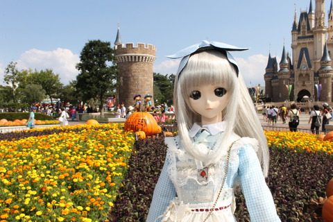 ディズニーハロウィン 139