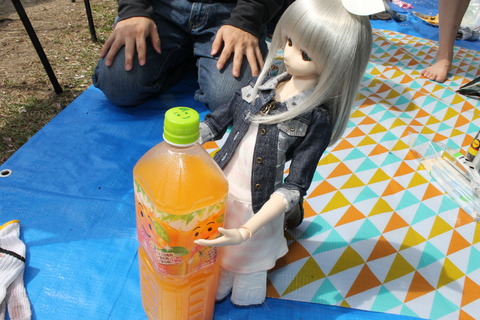大阪城公園花見 104