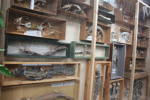 まぼろし博覧会 044