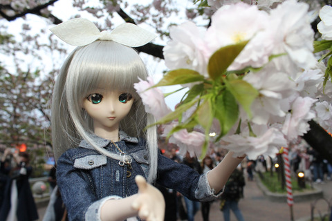 大阪城公園花見 155-2