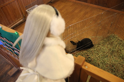 富士サファリパーク 103