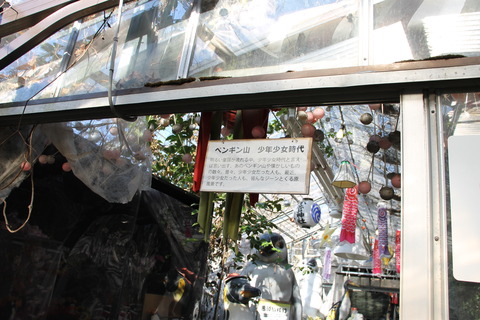 まぼろし博覧会 143