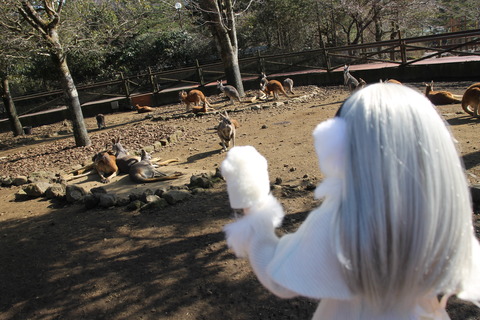 富士サファリパーク 123