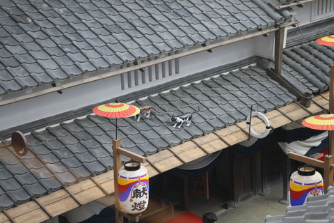 全興寺 233