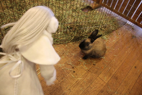 富士サファリパーク 099