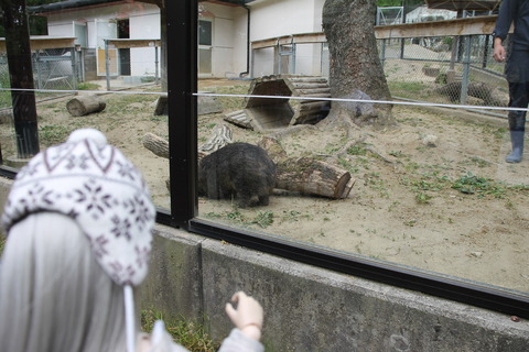 カップヌードルミュージアム 286