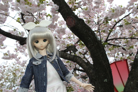 大阪城公園花見 127