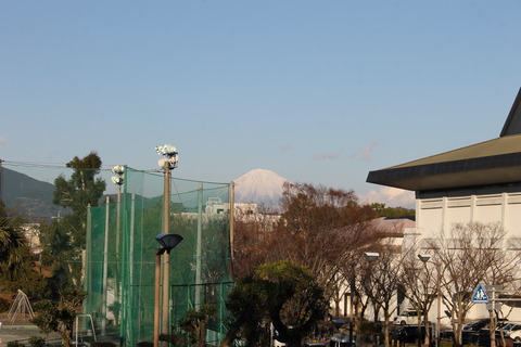 静岡初日の出 030