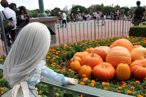 ディズニーハロウィン 036