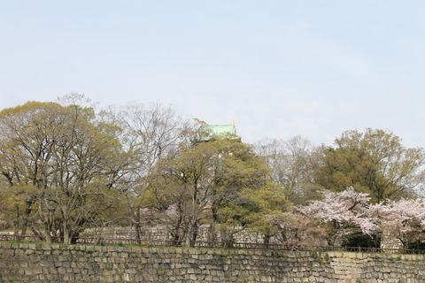 大阪城公園花見 002