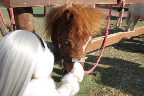 富士サファリパーク 153