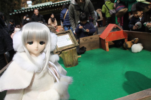 富士サファリパーク 055