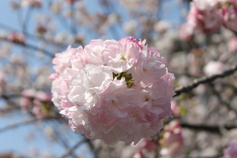 055