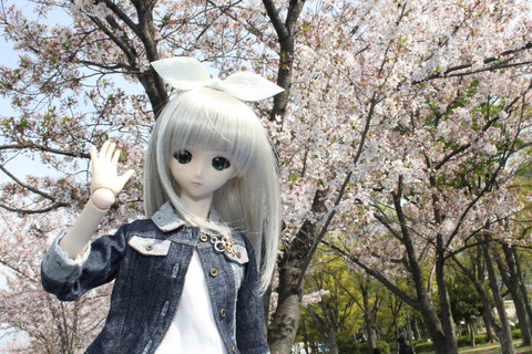 大阪城公園花見 008
