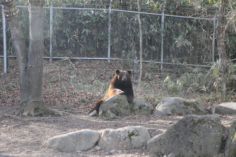 富士サファリパーク 177