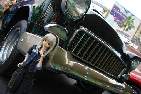 USJ、大阪自然史博物館 147-2